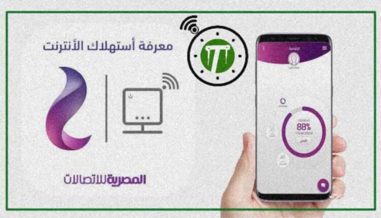 معرفة استهلاك النت الأرضي we برقم التليفون